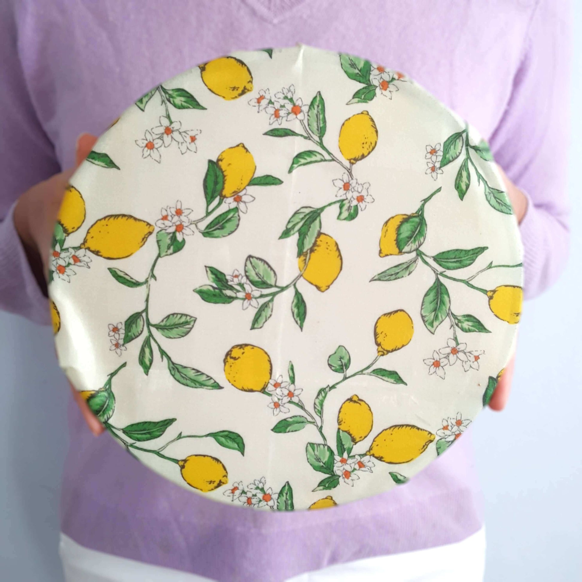 Italian Kitchen Earth Kind Sandwich & Bowl Set of 2 Large Beeswax Wraps